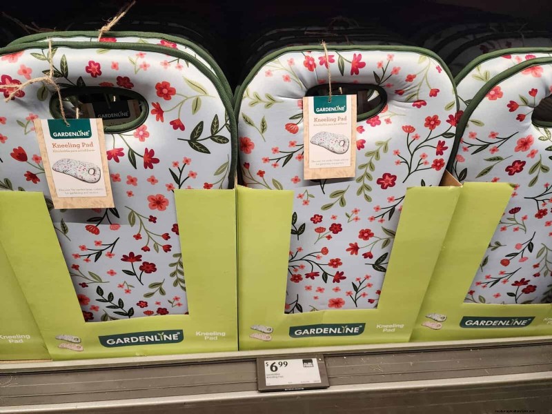 Aldi Garden Finds:30+ budgetvriendelijke decoraties en gereedschappen 
