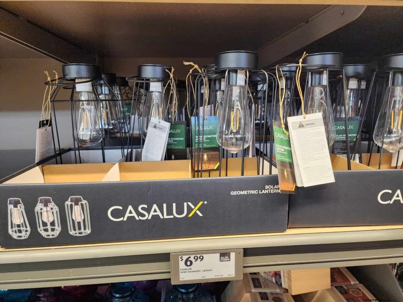 Aldi Garden Finds:30+ budgetvriendelijke decoraties en gereedschappen 