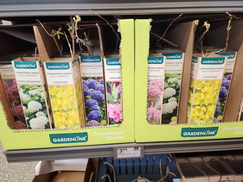 Aldi Garden Finds:30+ budgetvriendelijke decoraties en gereedschappen 