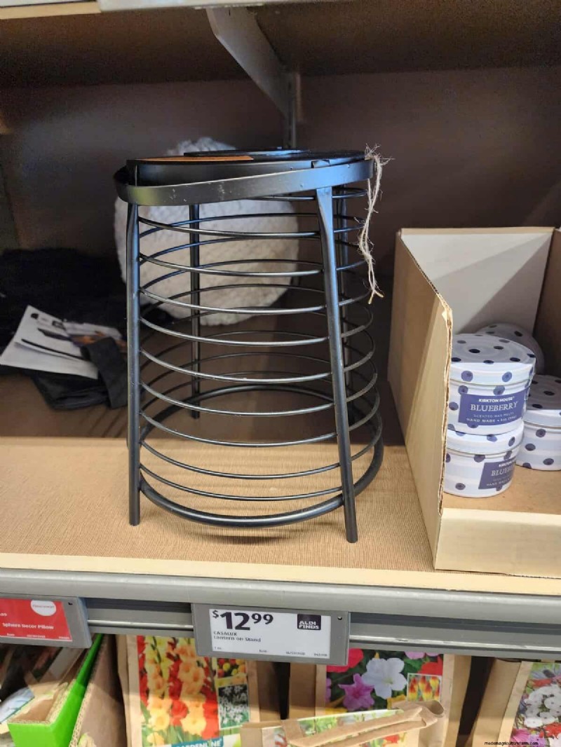 Aldi Garden Finds:30+ budgetvriendelijke decoraties en gereedschappen 