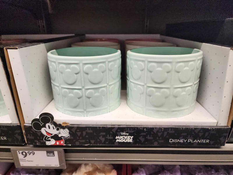 Aldi Garden Finds:30+ budgetvriendelijke decoraties en gereedschappen 