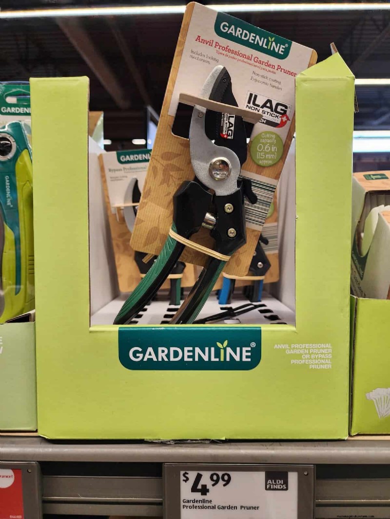 Aldi Garden Finds:30+ budgetvriendelijke decoraties en gereedschappen 