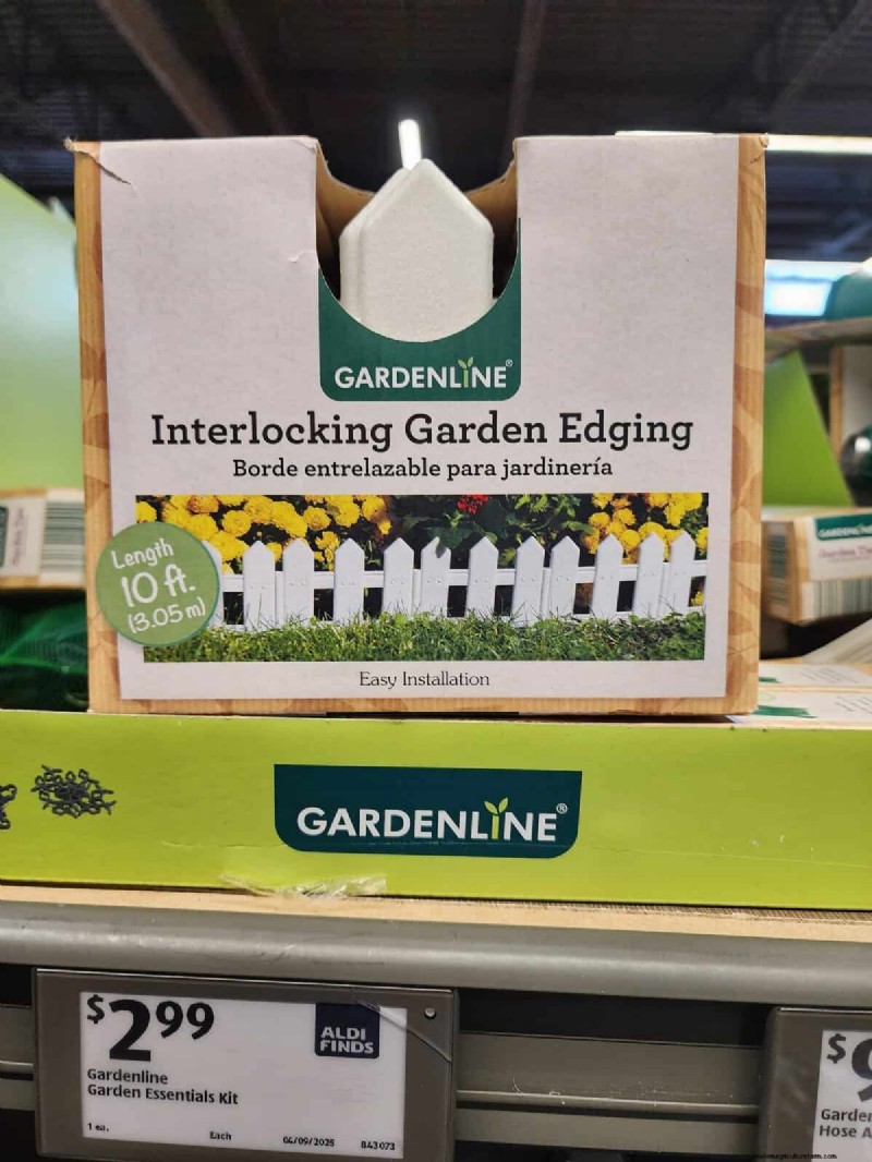 Aldi Garden Finds:30+ budgetvriendelijke decoraties en gereedschappen 