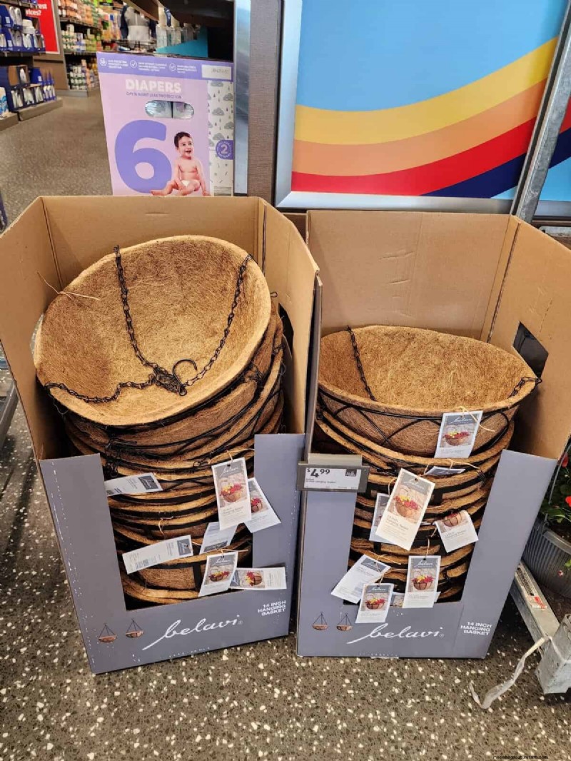 Aldi Garden Finds:30+ budgetvriendelijke decoraties en gereedschappen 