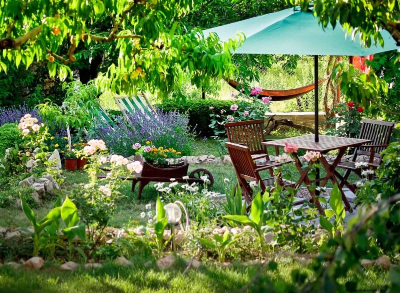 Aldi Garden Finds:30+ budgetvriendelijke decoraties en gereedschappen 