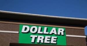 Decorazioni da giardino economiche:scoperte sorprendenti a meno di $ 5 su Dollar Tree 