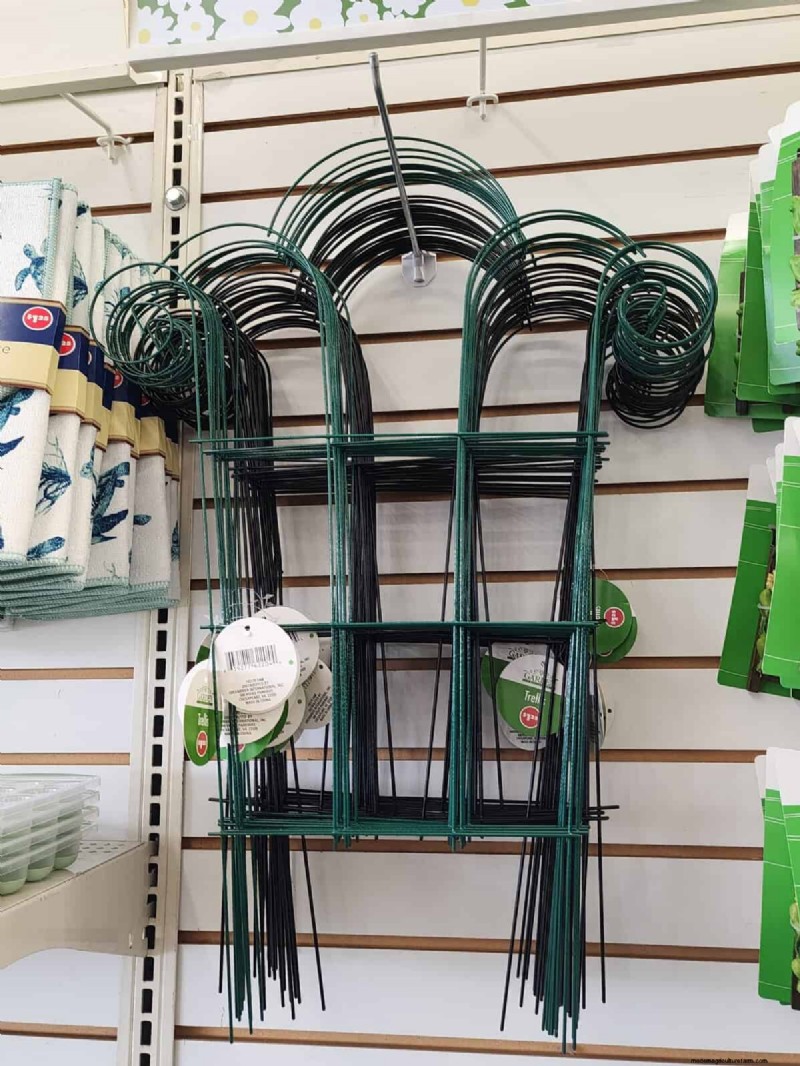 予算に優しい庭の装飾:Dollar Tree で 5 ドル以下で見つかる素晴らしいアイテム 