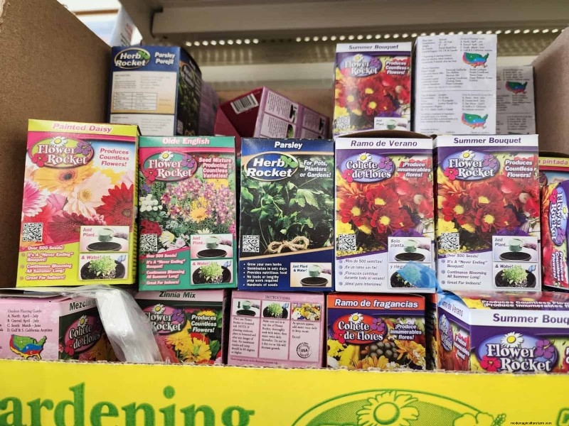 予算に優しい庭の装飾:Dollar Tree で 5 ドル以下で見つかる素晴らしいアイテム 
