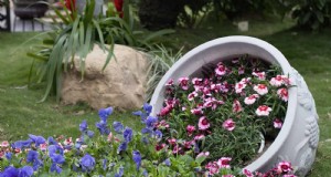 Creatieve tuinfouten:verander  Oeps -momenten in ontwerpsterkten 