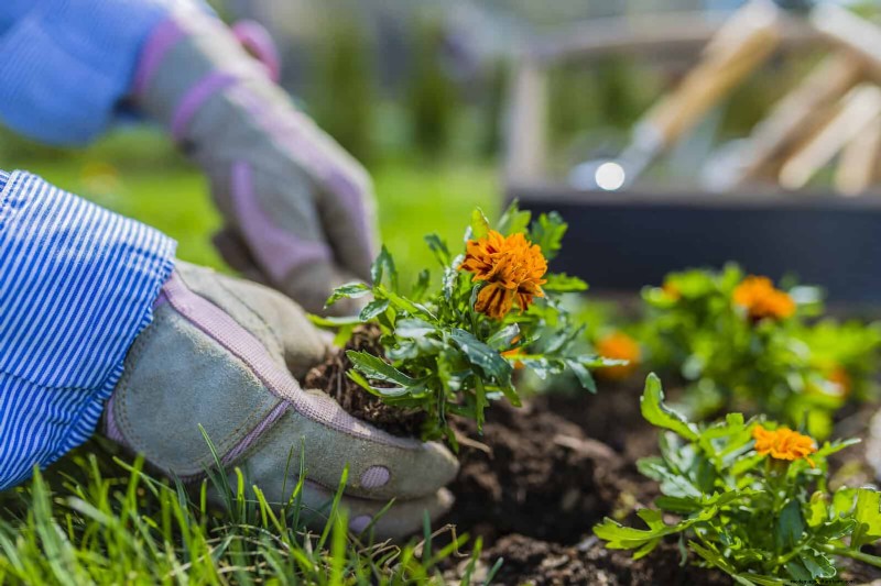 Creatieve tuinfouten:verander  Oeps -momenten in ontwerpsterkten 