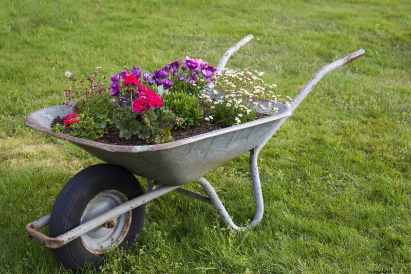 Creatieve tuinfouten:verander  Oeps -momenten in ontwerpsterkten 