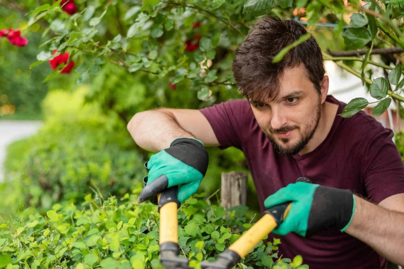 Veelvoorkomende fouten bij het landschapsarchitectuur en hoe u deze kunt oplossen 