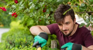 Häufige Fehler bei der Landschaftsgestaltung und wie man sie behebt 