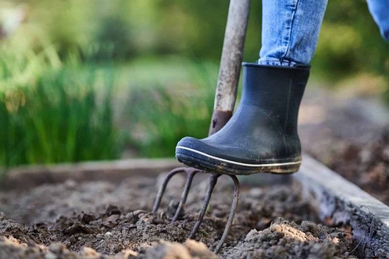 Veelvoorkomende fouten bij het landschapsarchitectuur en hoe u deze kunt oplossen 