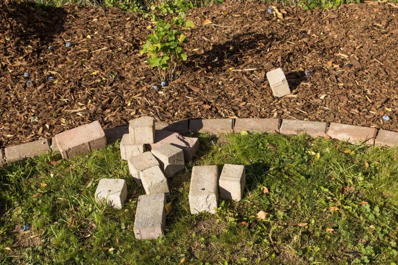 Veelvoorkomende fouten bij het landschapsarchitectuur en hoe u deze kunt oplossen 