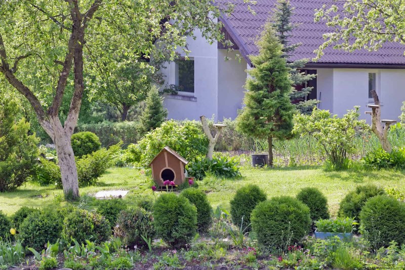 Veelvoorkomende fouten bij het landschapsarchitectuur en hoe u deze kunt oplossen 