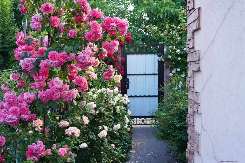 Veelvoorkomende fouten bij het landschapsarchitectuur en hoe u deze kunt oplossen 