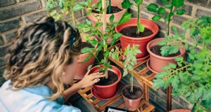 Lentebemesting:waarom het uitstellen van de voeding uw tuin ten goede komt 