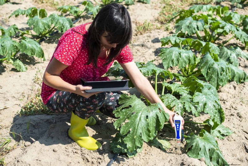 Lentebemesting:waarom het uitstellen van de voeding uw tuin ten goede komt 