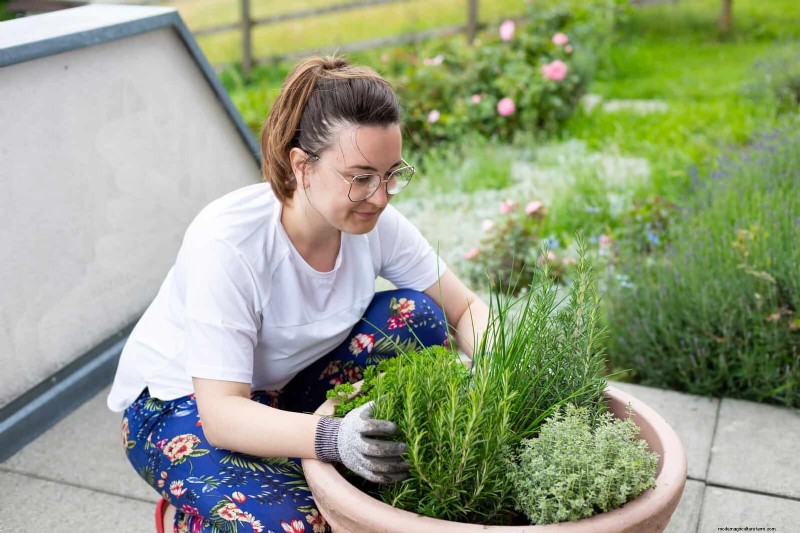 Lentebemesting:waarom het uitstellen van de voeding uw tuin ten goede komt 