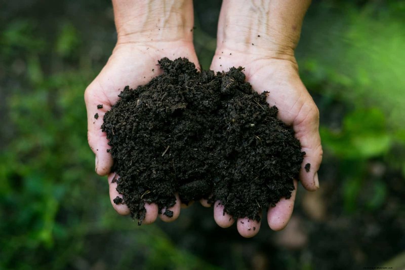 Lentebemesting:waarom het uitstellen van de voeding uw tuin ten goede komt 