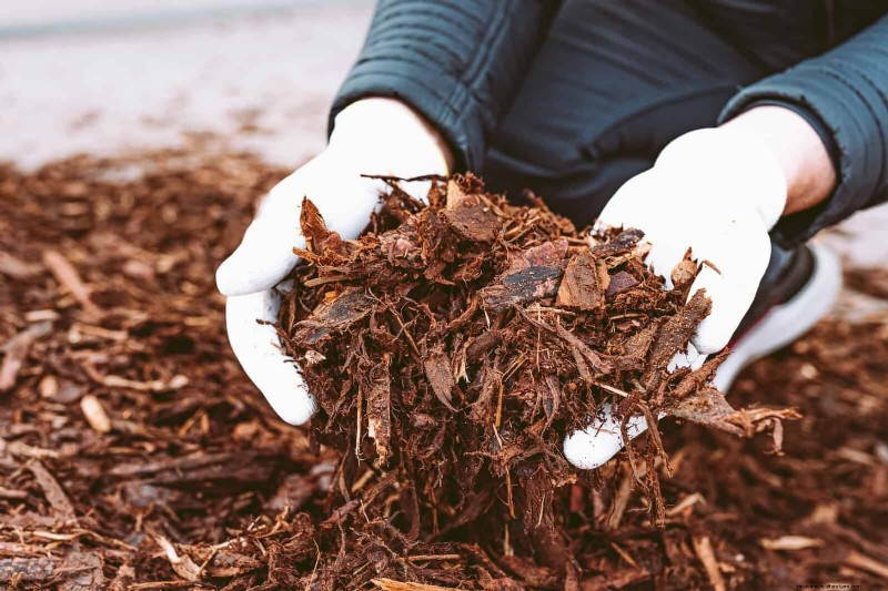 Lentebemesting:waarom het uitstellen van de voeding uw tuin ten goede komt 
