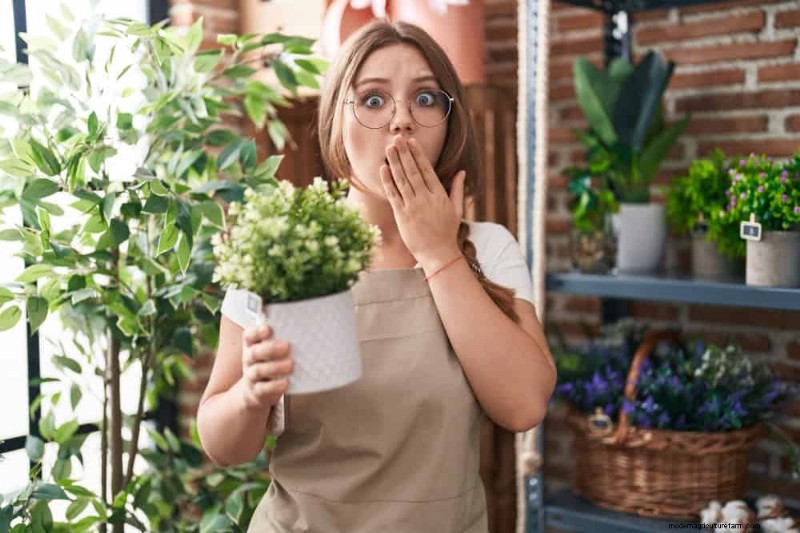 25 veelvoorkomende tuiniermythen ontkracht voor beginnende tuiniers 