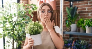 25 veelvoorkomende tuiniermythen ontkracht voor beginnende tuiniers 