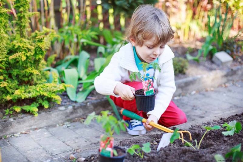 25 veelvoorkomende tuiniermythen ontkracht voor beginnende tuiniers 
