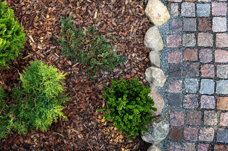 Problemi comuni in giardino e soluzioni facili:una guida per il giardiniere 