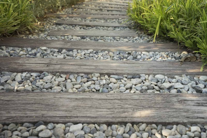 Problemi comuni in giardino e soluzioni facili:una guida per il giardiniere 