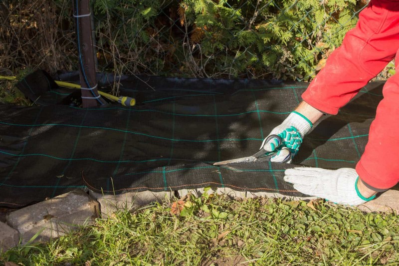 Problemi comuni in giardino e soluzioni facili:una guida per il giardiniere 