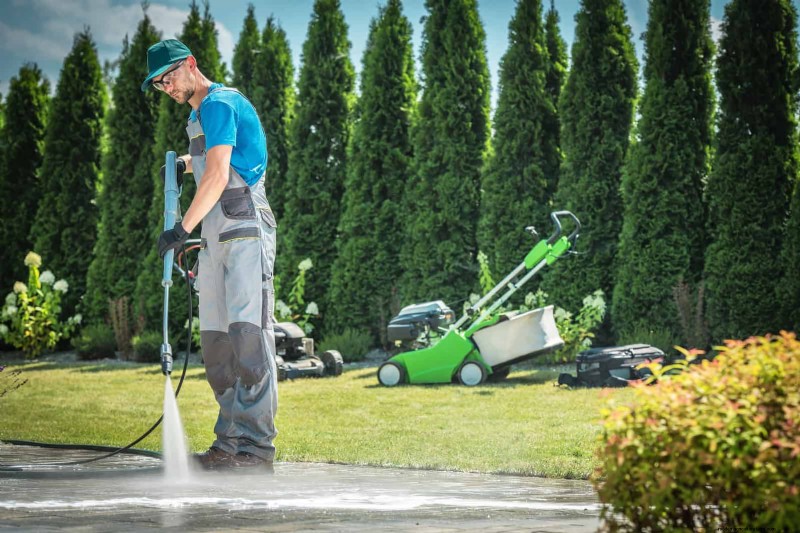 Problemi comuni in giardino e soluzioni facili:una guida per il giardiniere 