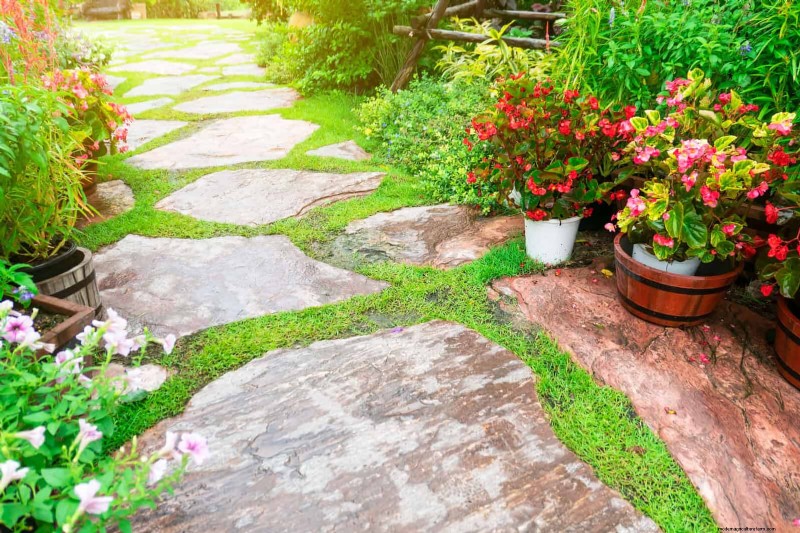 Problemi comuni in giardino e soluzioni facili:una guida per il giardiniere 