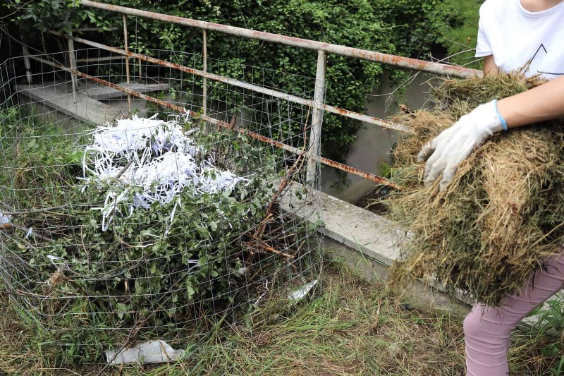 Problemi comuni in giardino e soluzioni facili:una guida per il giardiniere 