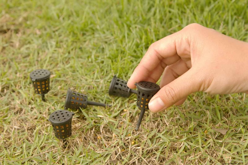 Problemi comuni in giardino e soluzioni facili:una guida per il giardiniere 