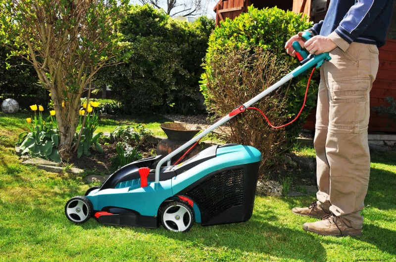 Problemi comuni in giardino e soluzioni facili:una guida per il giardiniere 