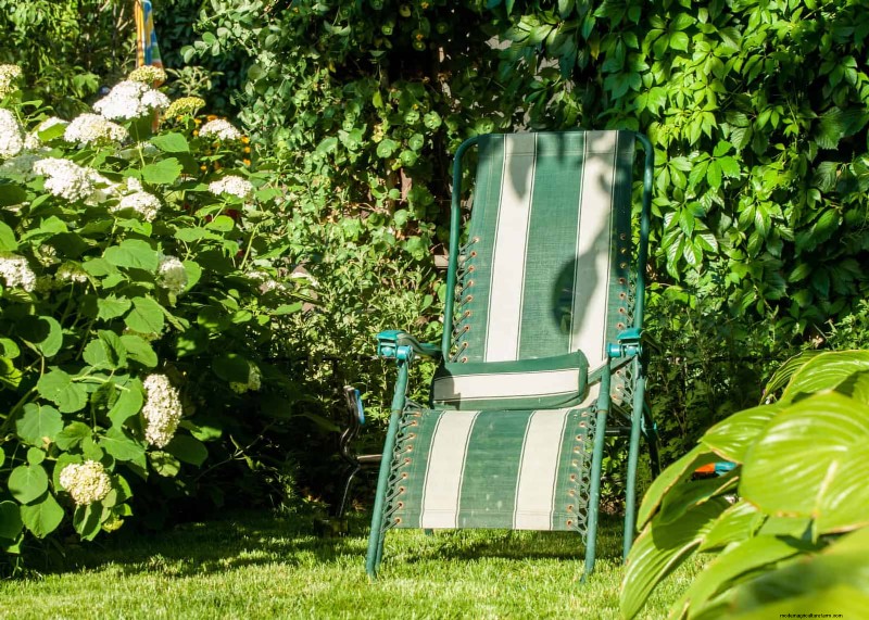 Problemi comuni in giardino e soluzioni facili:una guida per il giardiniere 