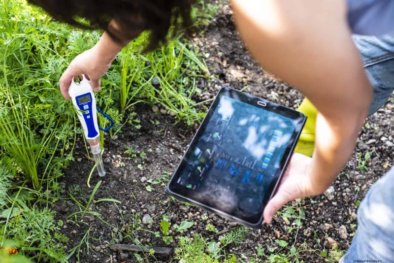 Problemi comuni in giardino e soluzioni facili:una guida per il giardiniere 