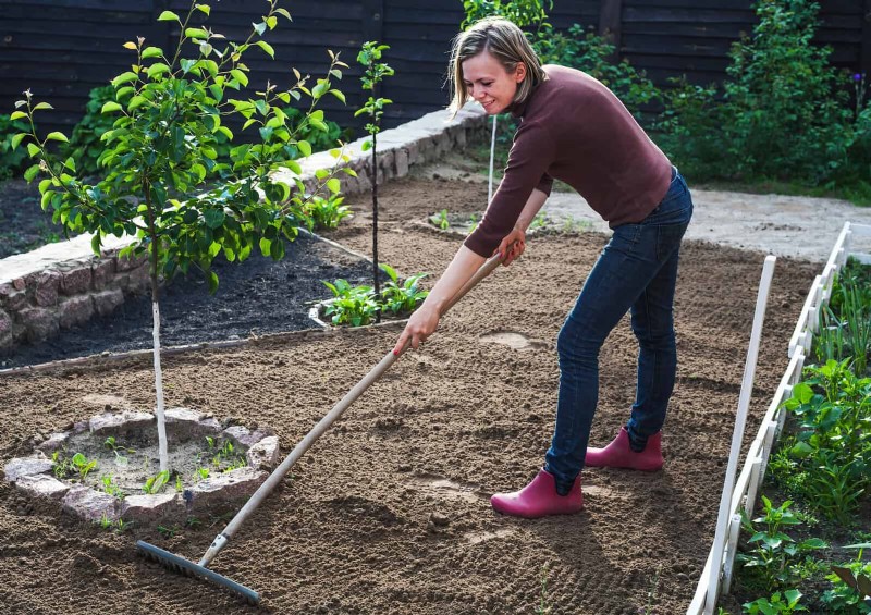 Problemi comuni in giardino e soluzioni facili:una guida per il giardiniere 