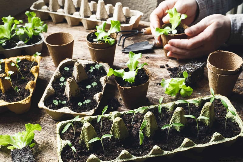 Intelligente Garten-Hacks:Sparen Sie Zeit, Wasser und Geld – Expertentipps 