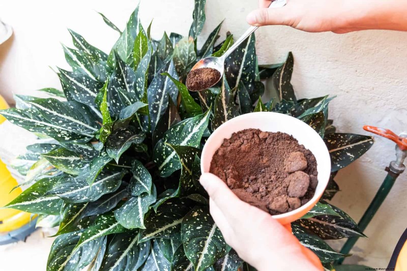 Intelligente Garten-Hacks:Sparen Sie Zeit, Wasser und Geld – Expertentipps 