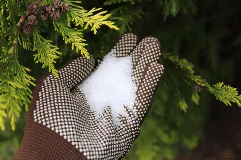 Intelligente Garten-Hacks:Sparen Sie Zeit, Wasser und Geld – Expertentipps 