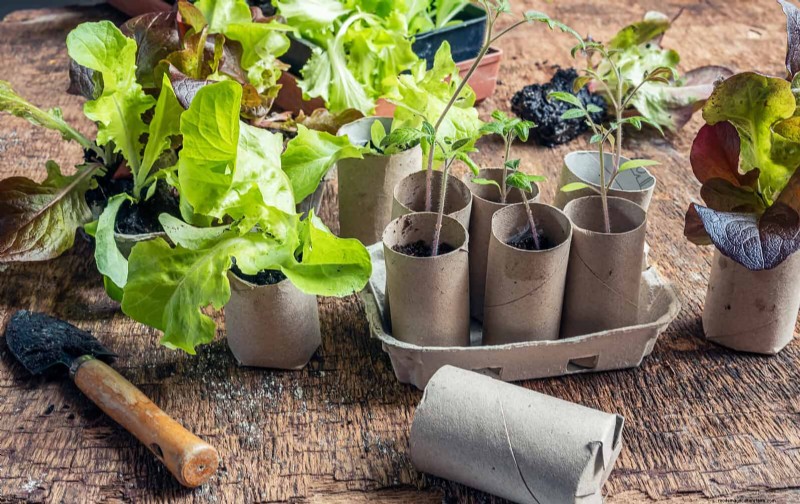 Intelligente Garten-Hacks:Sparen Sie Zeit, Wasser und Geld – Expertentipps 