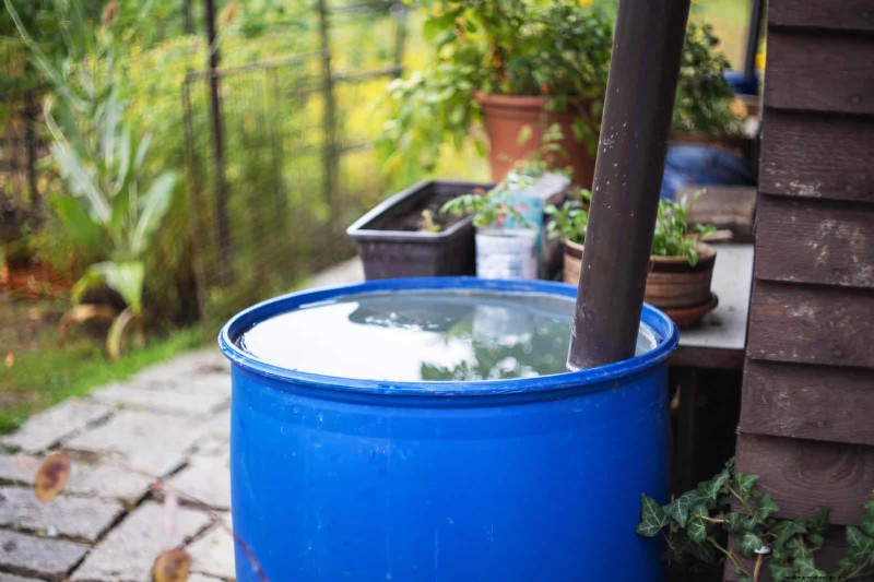 Intelligente Garten-Hacks:Sparen Sie Zeit, Wasser und Geld – Expertentipps 