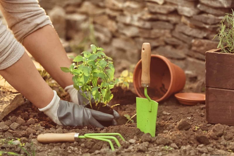 Intelligente Garten-Hacks:Sparen Sie Zeit, Wasser und Geld – Expertentipps 