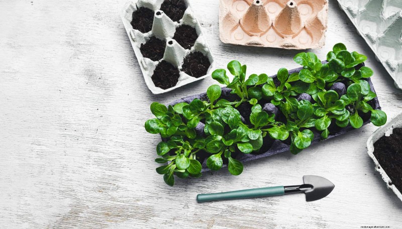 Intelligente Garten-Hacks:Sparen Sie Zeit, Wasser und Geld – Expertentipps 