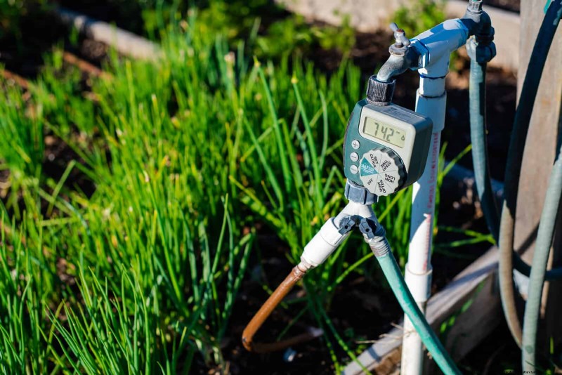 Intelligente Garten-Hacks:Sparen Sie Zeit, Wasser und Geld – Expertentipps 