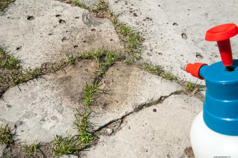 Intelligente Garten-Hacks:Sparen Sie Zeit, Wasser und Geld – Expertentipps 