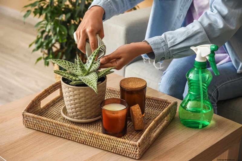 25 slimme kamerplant-hacks voor bloeiende planten | Depositphotos 